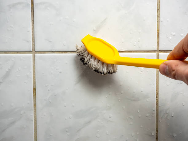 Best Mold Damage Repair  in Herald, CA