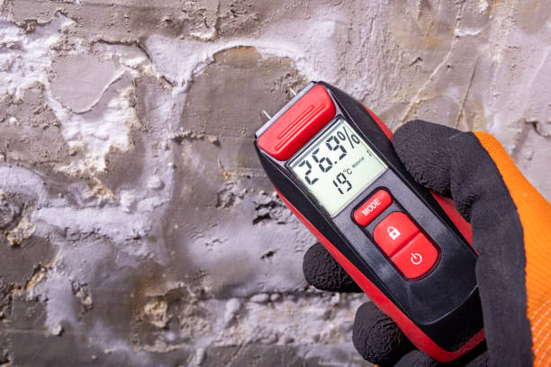 Best Water Damage Restoration  in Herald, CA