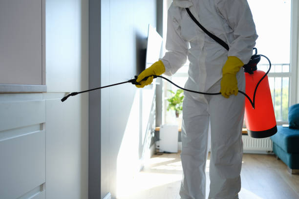 Best Same-Day Mold Removal  in Herald, CA