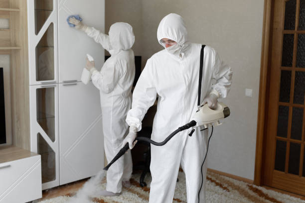 Mold Removal Process in Herald, CA